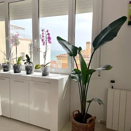 Appartement Cute And Comfortable -c&c-hutt-010593