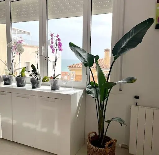 Appartement Cute And Comfortable -c&c-hutt-010593