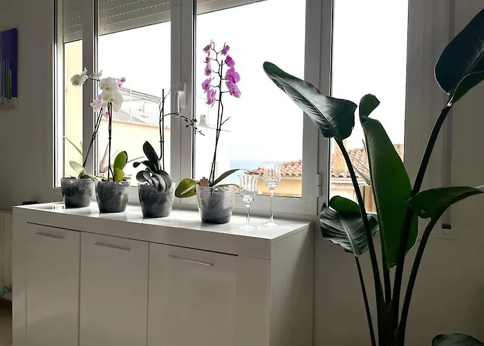Appartement Cute And Comfortable -c&c-hutt-010593